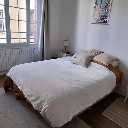 Bright T3 Near Park * Lyon